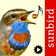Cantos de Aves Id
