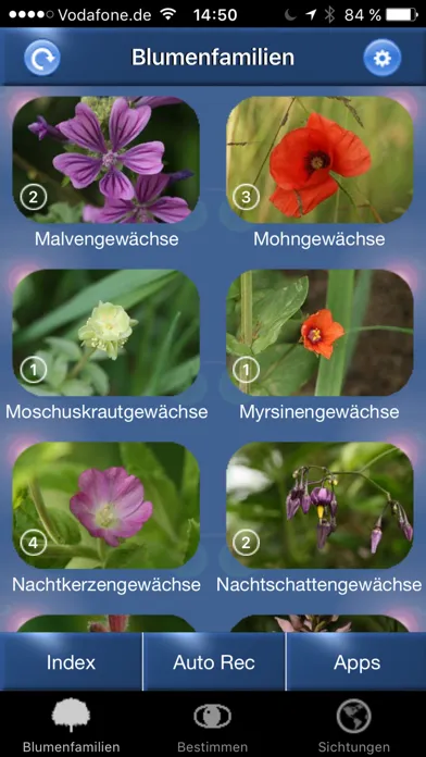 Capturas de tela do Blumen Id Automatik