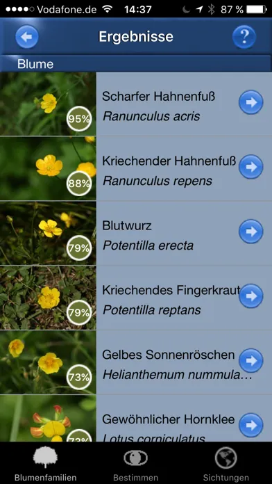 Capturas de tela do Blumen Id Automatik