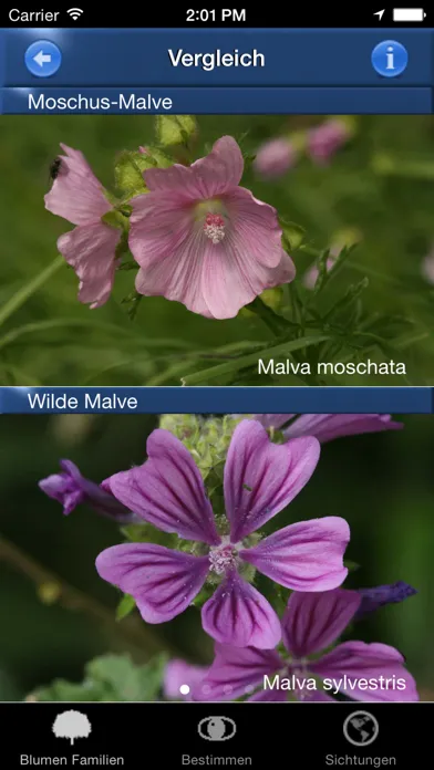 Capturas de tela do Blumen Id Automatik