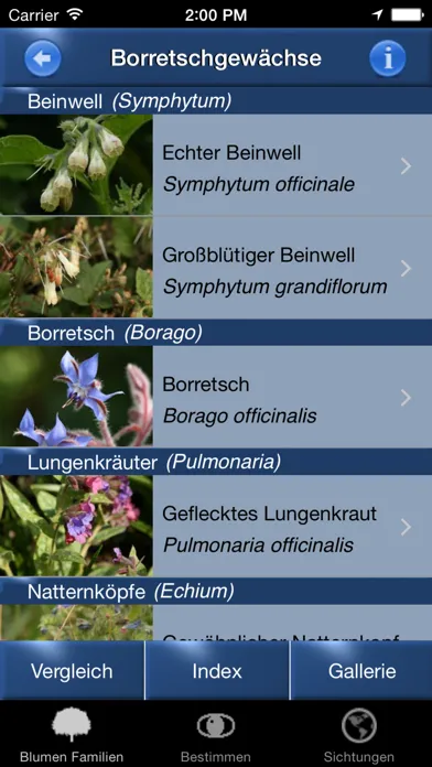 Capturas de tela do Blumen Id Automatik