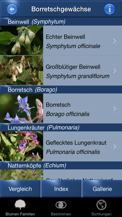 Capturas de tela do Blumen Id Automatik