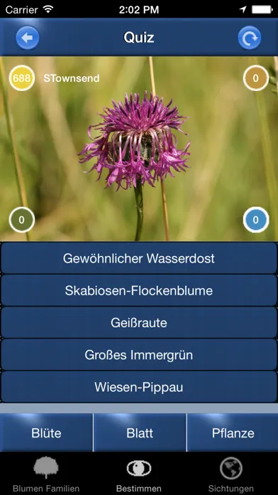 Capturas de tela do Blumen Id Automatik