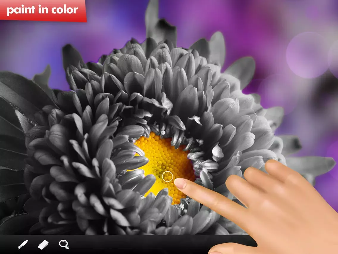 Mono Paint image editor FREE iPad 应用截图