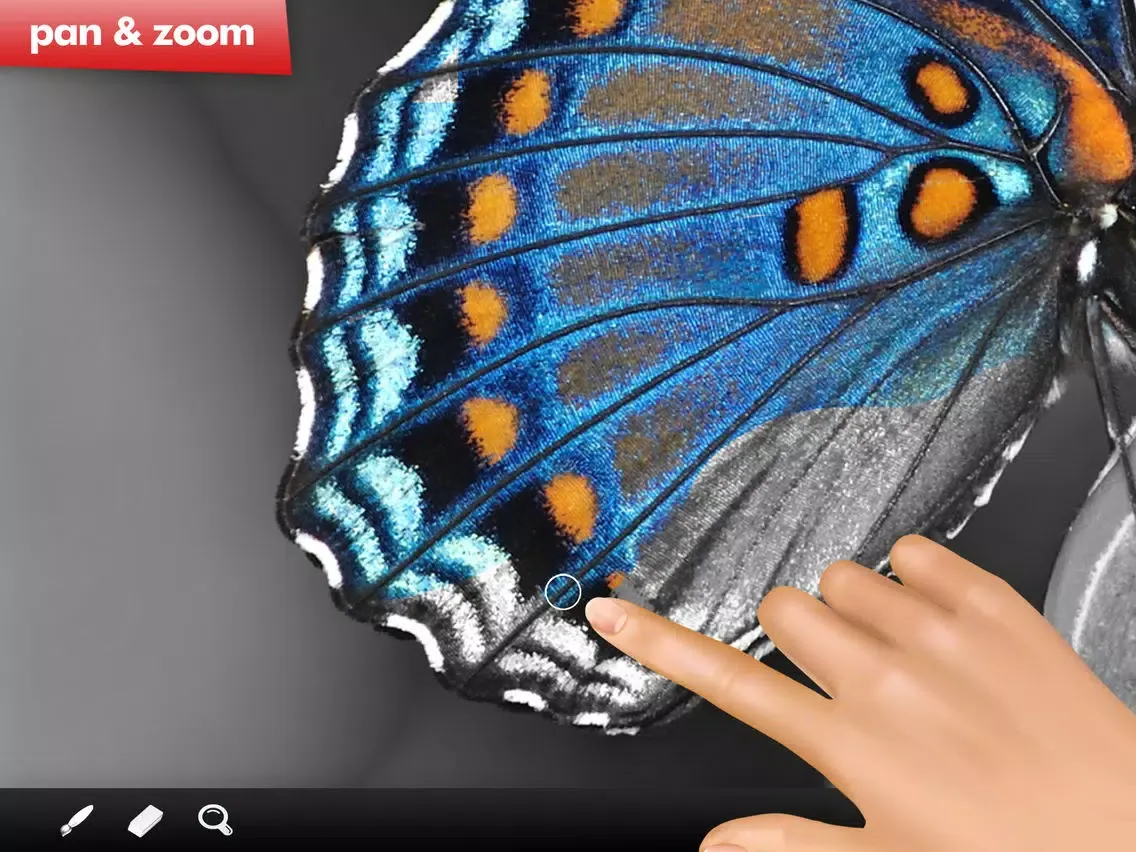 Mono Paint image editor FREE iPad 应用截图
