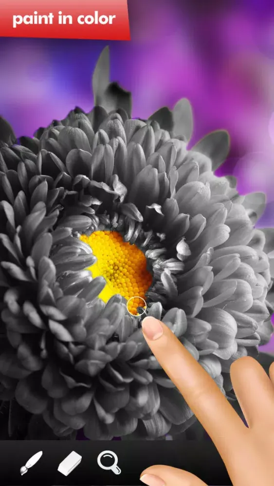 Mono Paint image editor FREE应用截图
