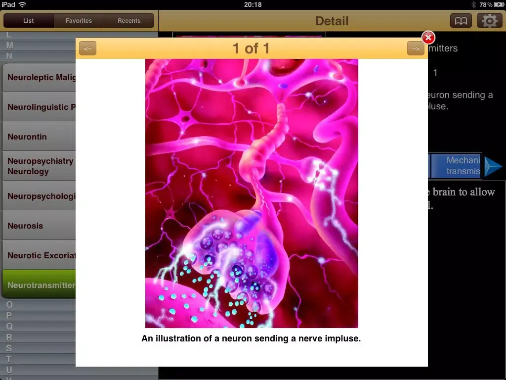 Скриншоты Encyclopedia of Mental Health iPad 
