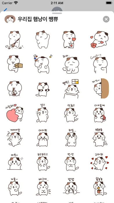 Zrzuty ekranu 우리집 햄냥이 쨈쀼