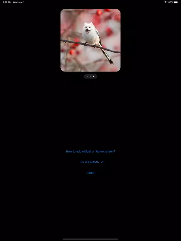 Zrzuty ekranu Photo Widgets • Hybrid animals iPad 