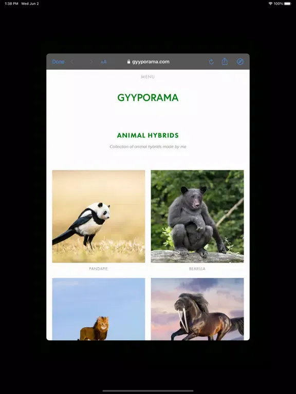 Zrzuty ekranu Photo Widgets • Hybrid animals iPad 