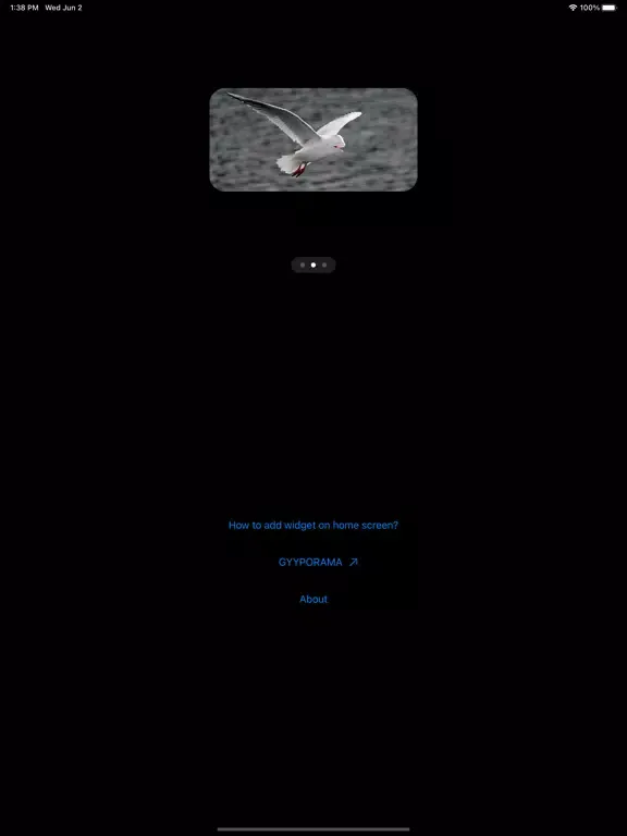Zrzuty ekranu Photo Widgets • Hybrid animals iPad 