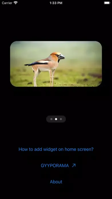 Zrzuty ekranu Photo Widgets • Hybrid animals