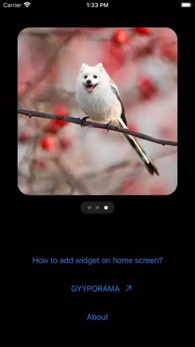 Zrzuty ekranu Photo Widgets • Hybrid animals