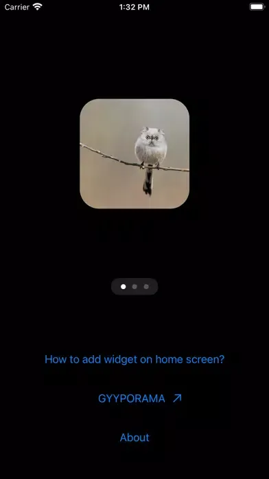 Zrzuty ekranu Photo Widgets • Hybrid animals
