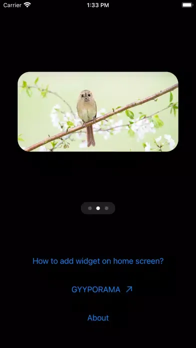 Zrzuty ekranu Photo Widgets • Hybrid animals