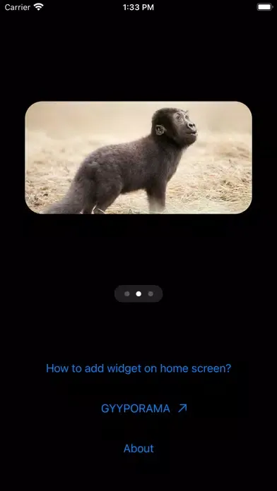 Zrzuty ekranu Photo Widgets • Hybrid animals