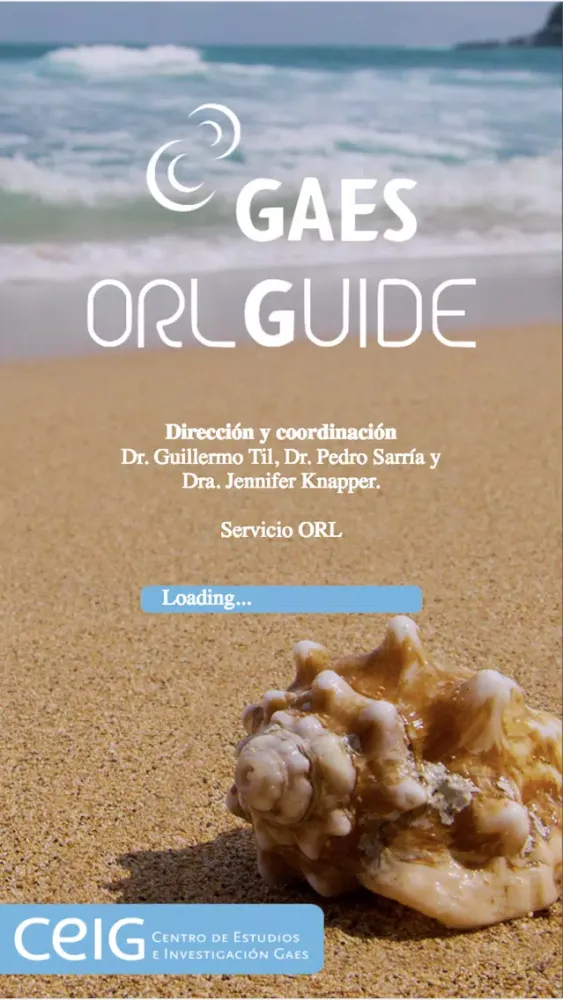 تصاویر GAES ORL Guide