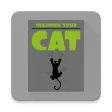 Training Your Cat