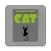 Training Your Cat