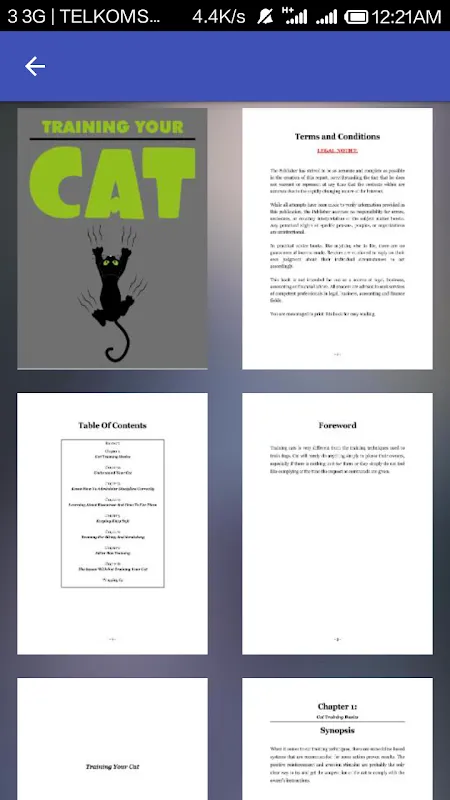 Zrzuty ekranu Training Your Cat