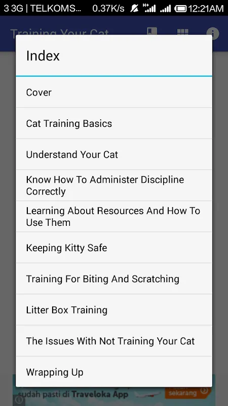 Zrzuty ekranu Training Your Cat
