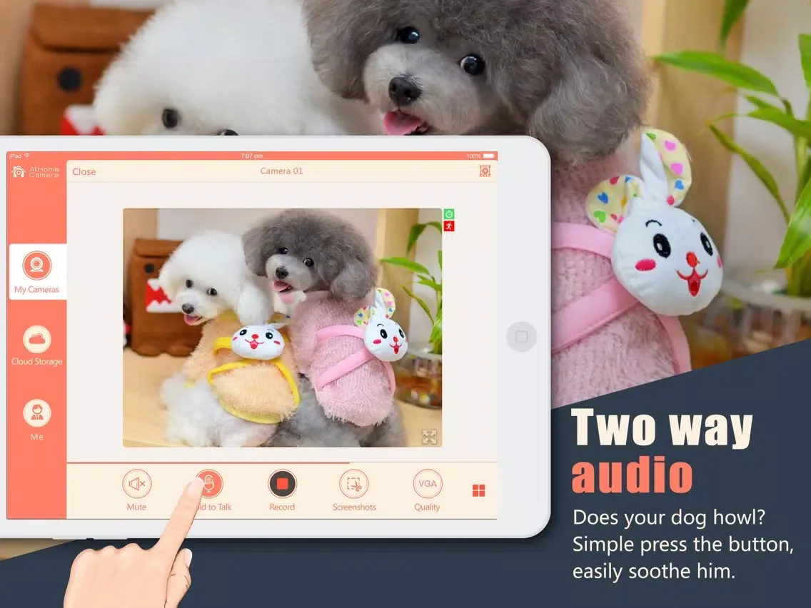 Скриншоты AtHome Camera Lite - Home Security iPad 