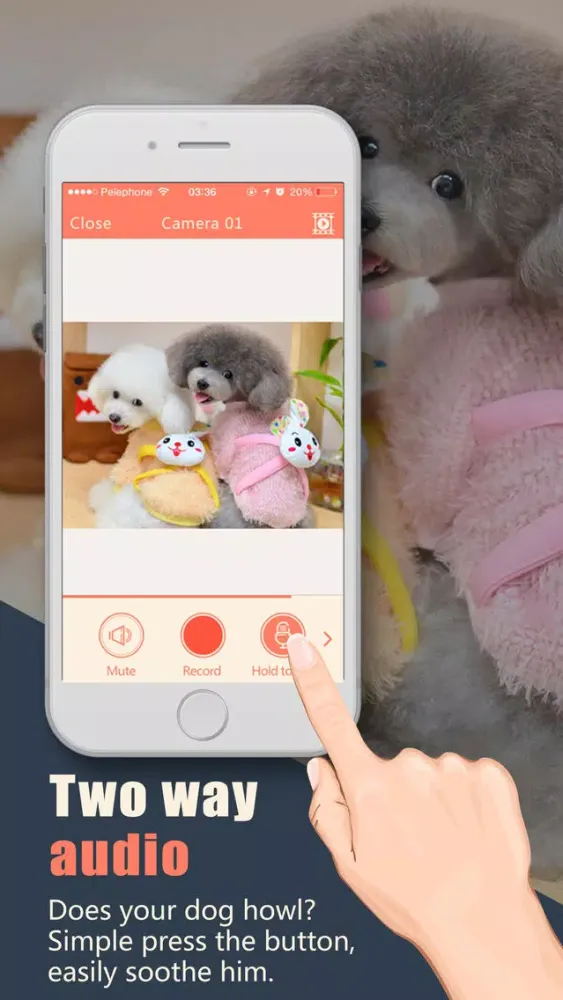 Скриншоты AtHome Camera Lite - Home Security