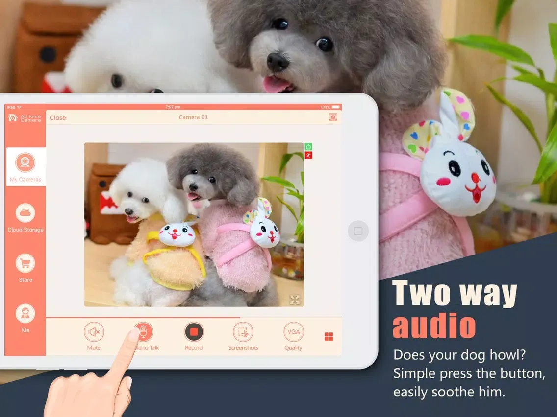 AtHome Camera Security App iPad 應用截圖