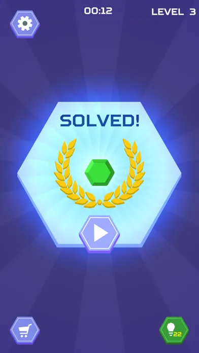 Hex Blocks Puzzle应用截图