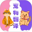 猫狗翻译器