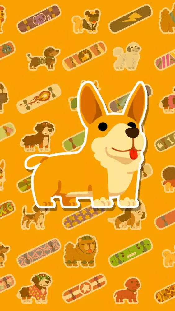 صور Corgi Pro Skater