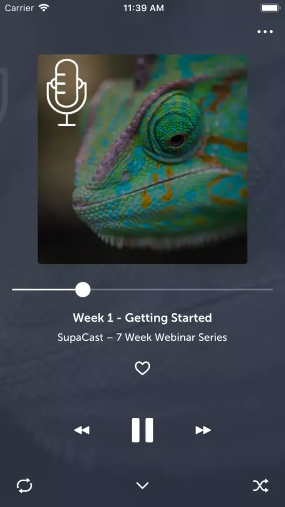 ภาพหน้าจอของ SupaCast