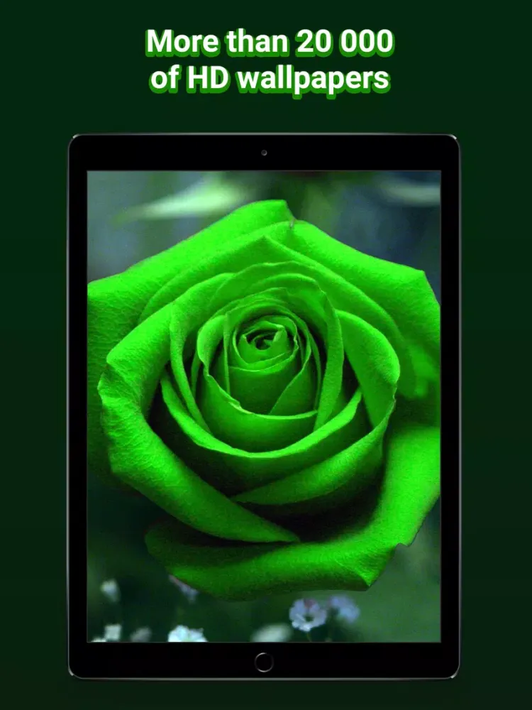 Captures d'écran de Cool Lock Screen & HD Themes iPad 