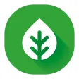 ShinefxConnect