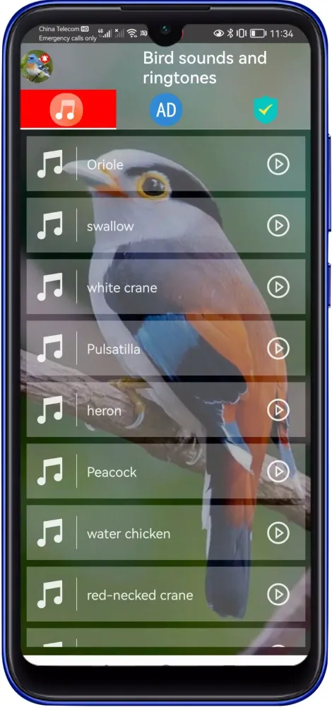Bird Sounds And Ringtones應用截圖