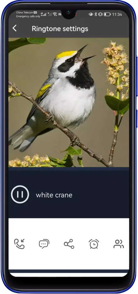 Bird Sounds And Ringtones應用截圖