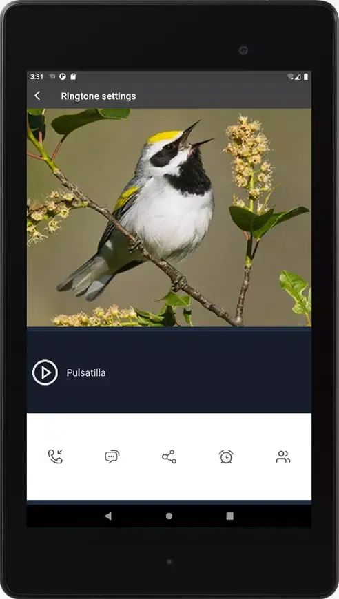 Bird Sounds And Ringtones應用截圖