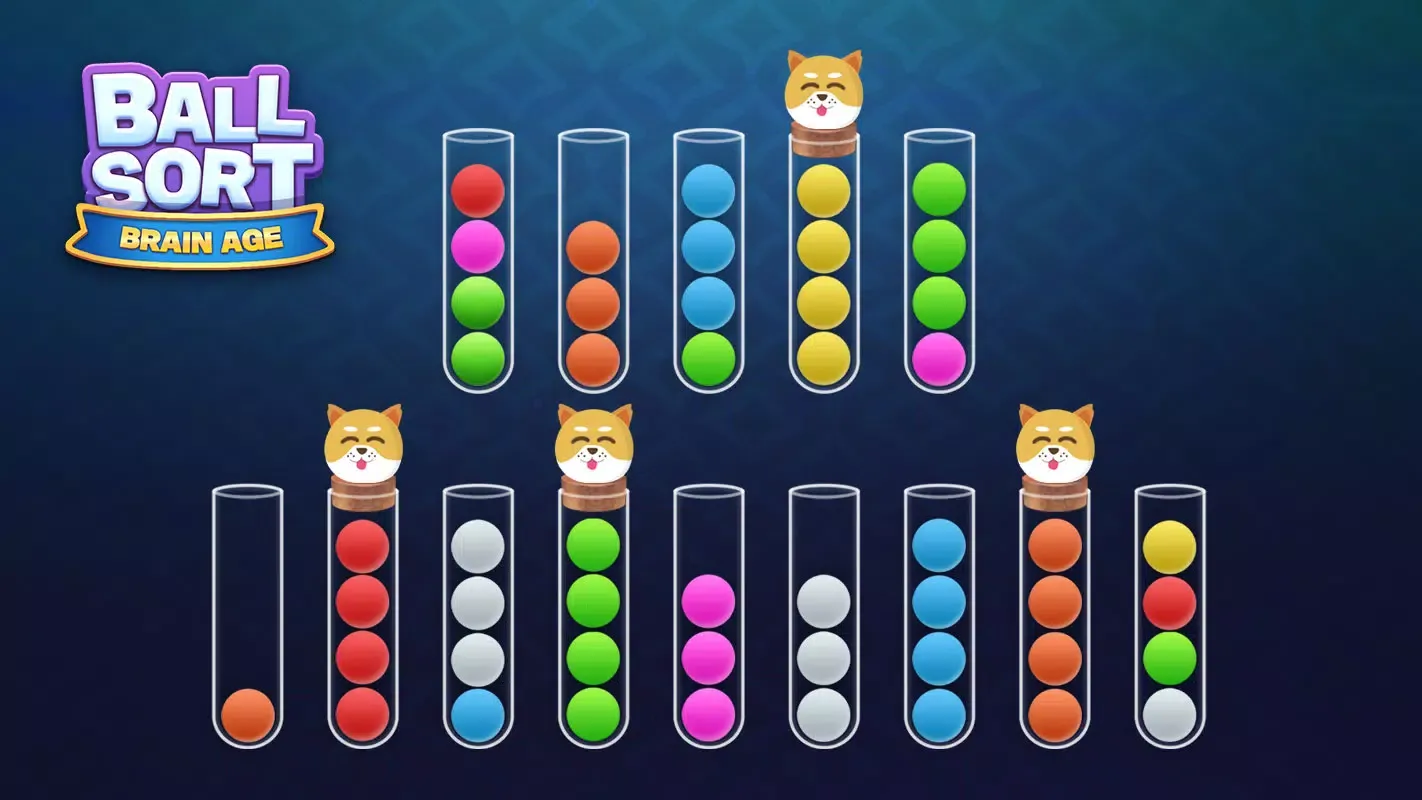 Sort Ball : Brain Age应用截图