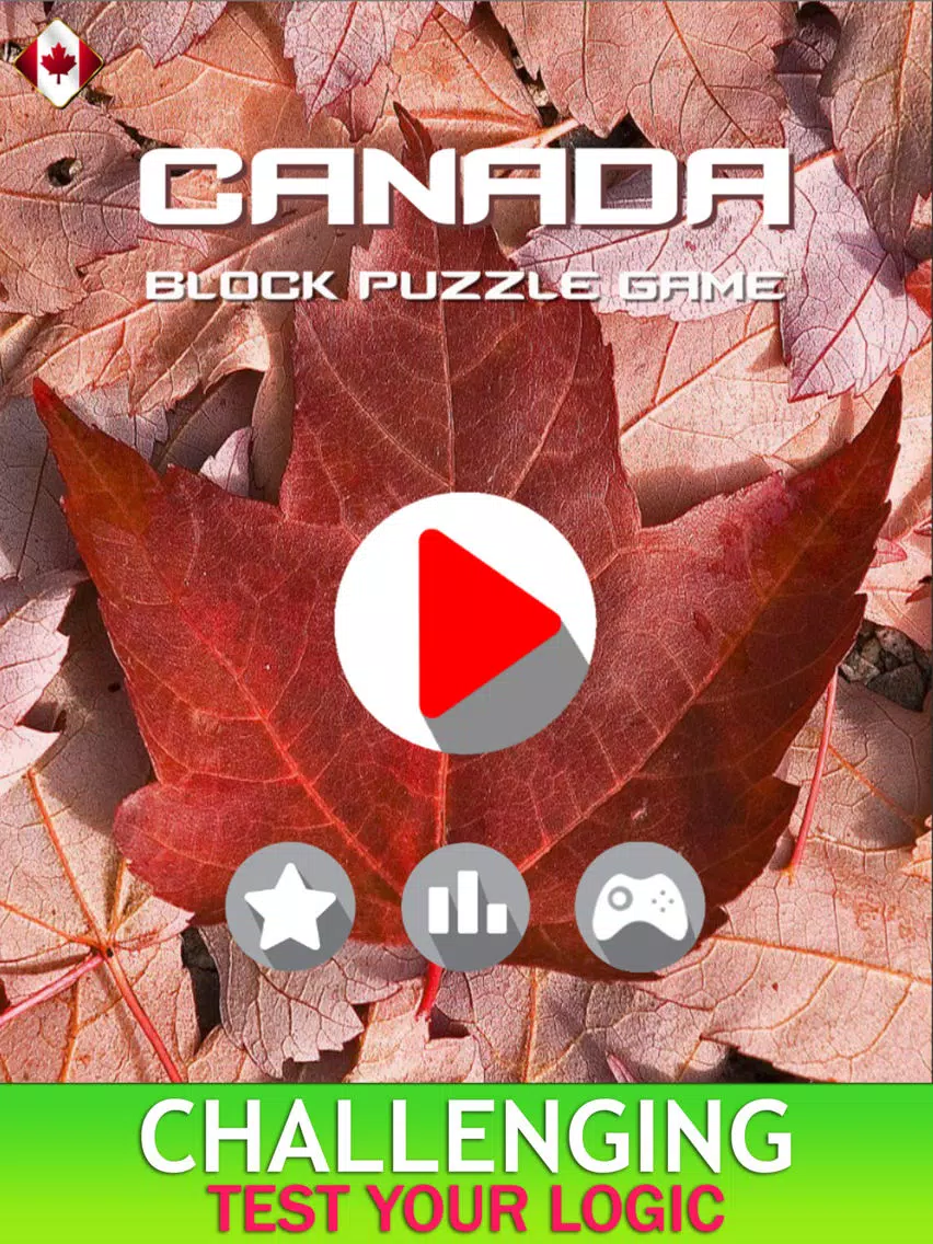 Canada Blocks - Brick Puzzle Game iPad  Screenshots