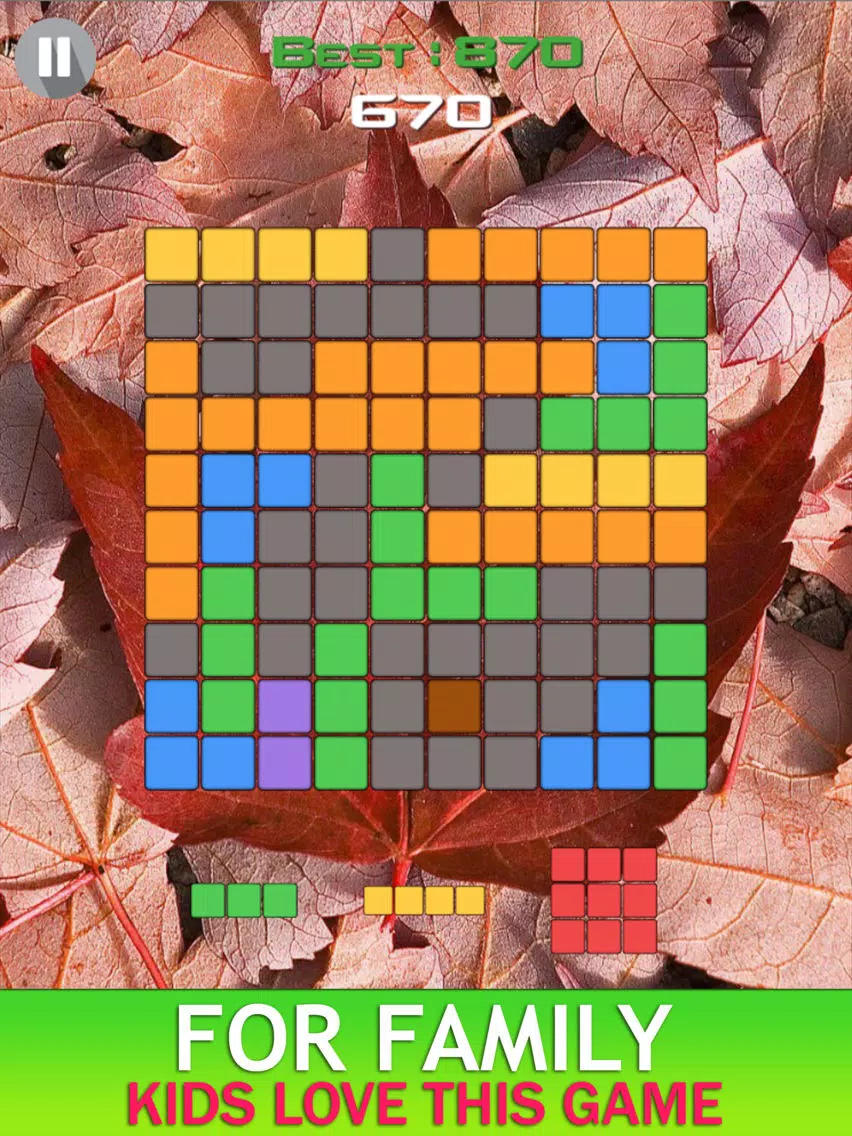 Canada Blocks - Brick Puzzle Game iPad  Screenshots