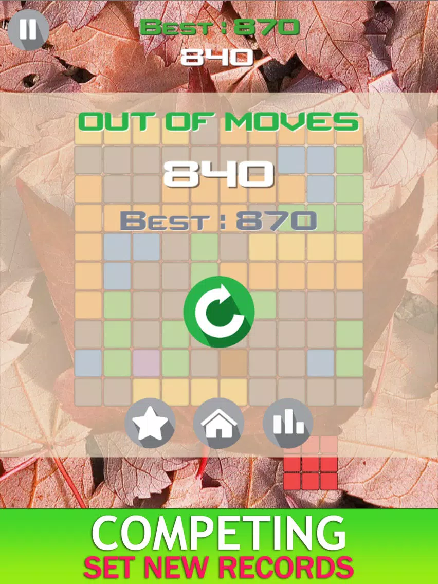 Canada Blocks - Brick Puzzle Game iPad  Screenshots