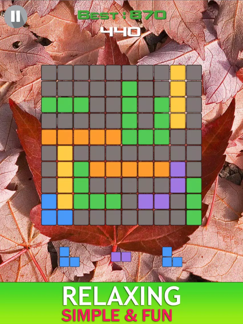 Canada Blocks - Brick Puzzle Game iPad  Screenshots