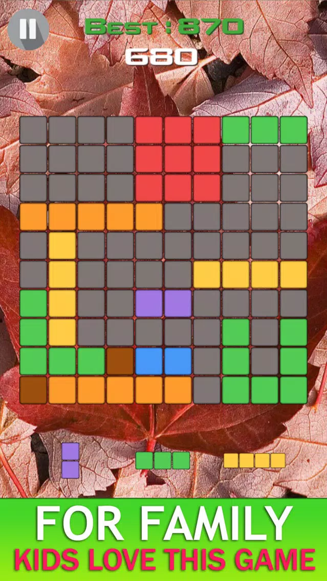 Canada Blocks - Brick Puzzle Game Screenshots