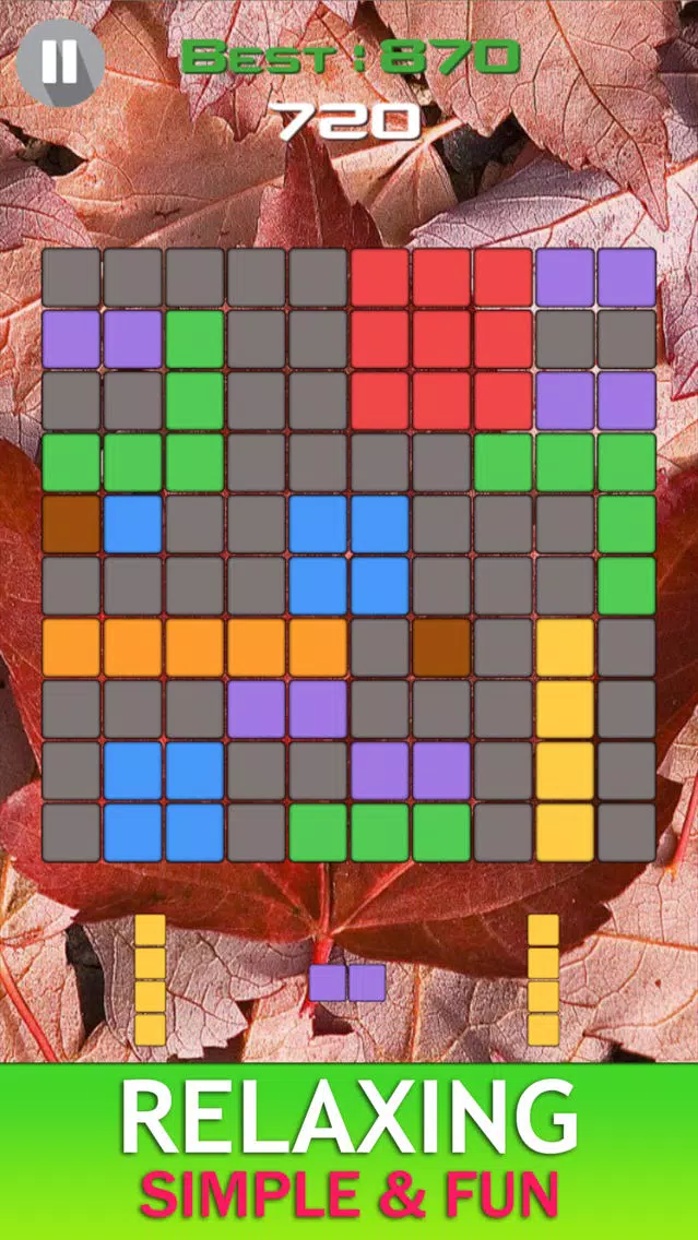 Canada Blocks - Brick Puzzle Game Screenshots