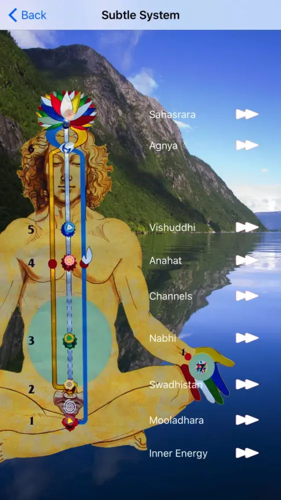 Скриншоты SahajaMeditation