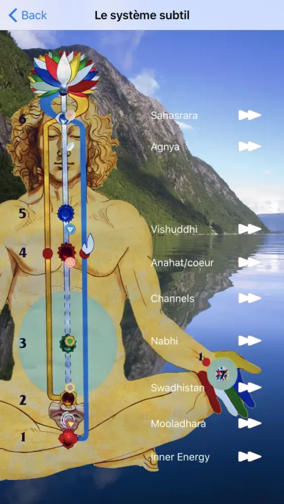 Ảnh chụp màn hình của SahajaYoga-Meditation-français