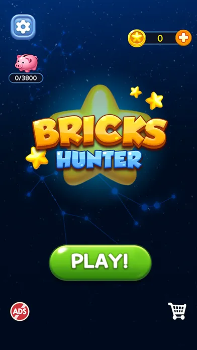 Bricks Hunter سکرین شاٹس