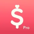 Minibudget Pro