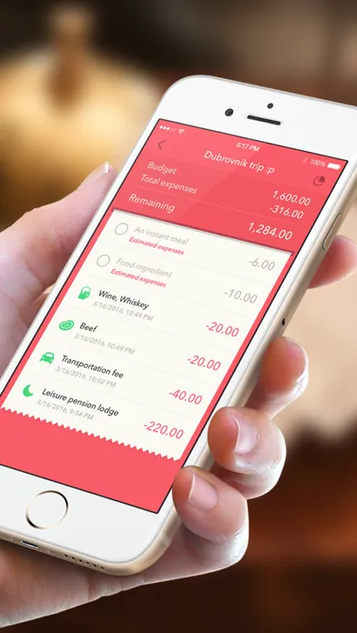 Tangkapan layar Minibudget Pro