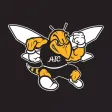 AIC Yellow Jackets AIC Yellow Jackets